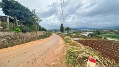 Bán đất (14x36) Hai Mặt Tiền trung tâm suối thông B - Đạ ròn - Đơn dương