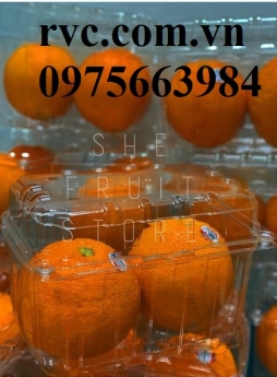 Hộp nhựa đựng cam - Sản phẩm không thể thiếu cho cửa hàng trái cây, siêu thị