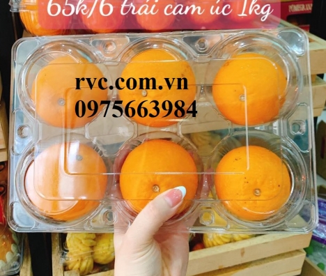 Hộp nhựa đựng cam - Sản phẩm không thể thiếu cho cửa hàng trái cây, siêu thị