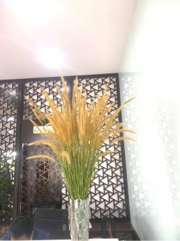 Cho thuê căn hộ Fpt plaza1 tầng cao thoáng mát, đi thang máy