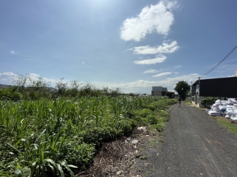 Bán Đất Tân Hội 2,9 Tỷ Mặt Tiền 35m DT 669,3m2 Thổ Cư 300m Tân Hội - Đức Trọng