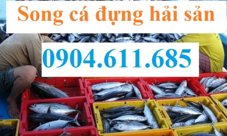 Rổ nhựa, Sóng cá đựng thủy hải sản, rổ nhựa đựng cá tôm