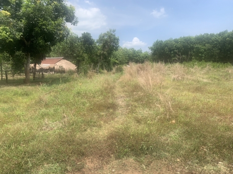 Chính chủ - Cần bán gấp lô đất view đẹp tại Bình Long - Bình Phước
