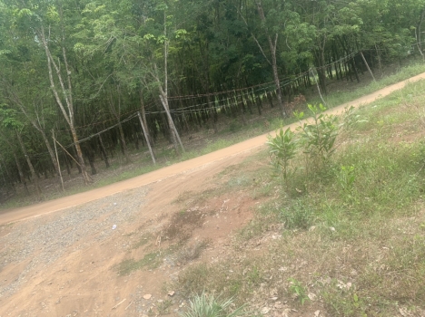 Chính chủ - Cần bán gấp lô đất view đẹp tại Bình Long - Bình Phước