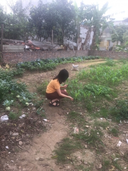 Bán đất Hiên Vân, Tiên Du, Bắc Ninh diện tích 117m2, mặt tiền 8m nở hậu giá đẹp 1 tỷ.