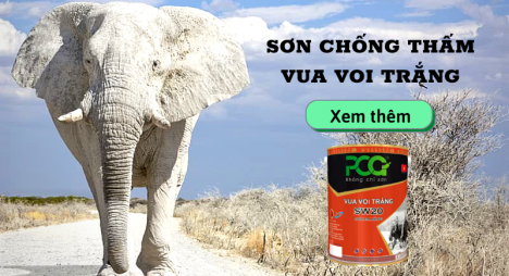 Chống thấm vua voi trắng #SW20-Không cần sơn lót tiết kiệm chi phi