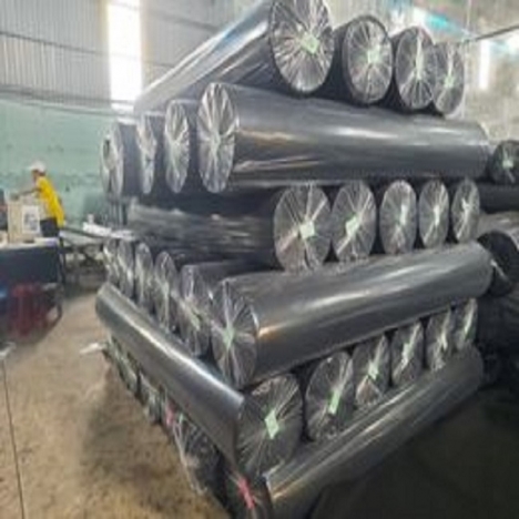 Cung cấp vải không dệt may túi trồng cây