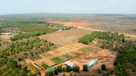 Đất Hòa Thắng Gần KDL Bàu Trắng Giá Chỉ 100K/m2, Sổ Riêng Công Chứng Ngay