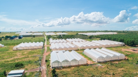 Đất Hòa Thắng Cách Đường ĐT 716 Hiện Hữu 900m Giá Chỉ 160K/m2