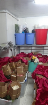 Hoàn thiện kho lạnh bảo quản hoa tươi