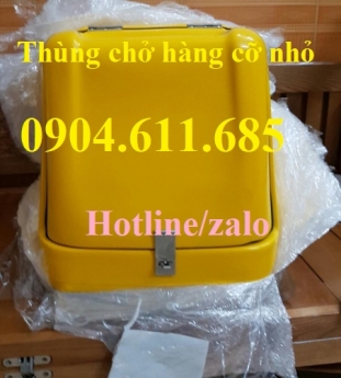 Thùng chở hàng sau xe máy, thùng chở hàng cỡ nhỏ, thùng chở chất thải y tế