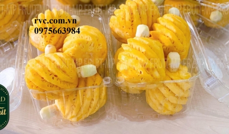 Hộp nhựa đựng trái cây cắt sẵn và những công dụng tuyệt vời