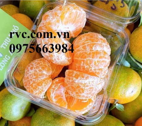 Hộp nhựa đựng trái cây cắt sẵn và những công dụng tuyệt vời
