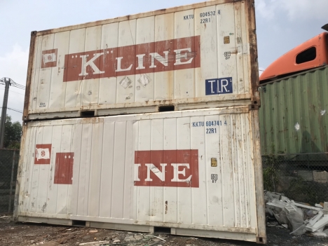 Container lạnh 20RF chứa thịt đông lạnh
