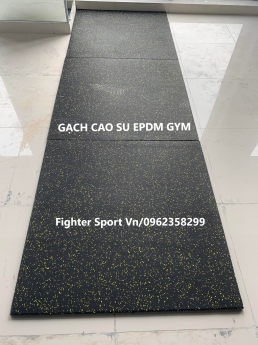 Gạch cao su phòng Boxing, Gym