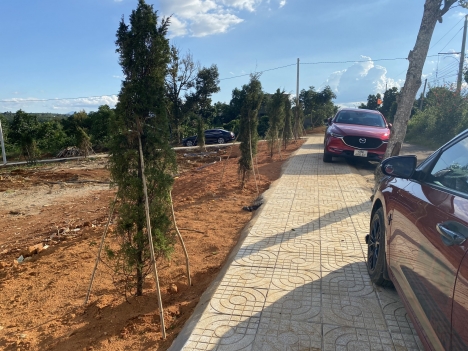 HÀNG HIẾM Bảo Lộc Lâm Đồng ngang 5m, dưới 800tr, ĐẦU TƯ hoặc ĐỂ DÀNH nghỉ dưỡng lâu dài