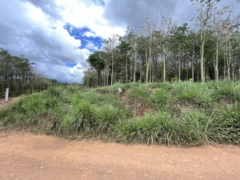 Bán Đất Đông Thanh 1,69 Tỷ DT 548m2 (10x62m) thổ cư 75m2 Đông Thanh Lâm Hà