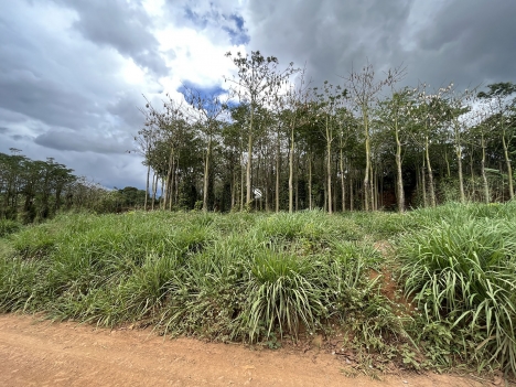 Bán Đất Đông Thanh 1,69 Tỷ DT 548m2 (10x62m) thổ cư 75m2 Đông Thanh Lâm Hà