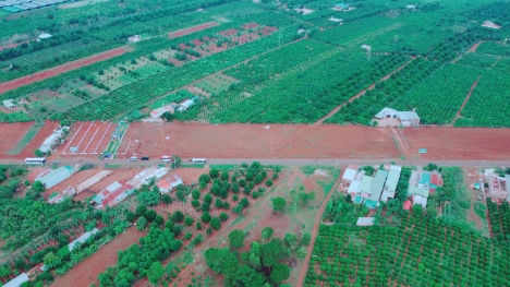 Đất nền gia lai - đất nền biệt thự 100% đất thổ cư  giá 6tr/m2