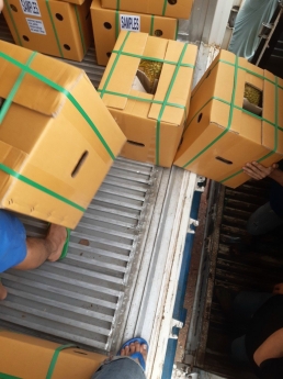 Bán container lạnh 20 feet trữ nông sản, trái cây