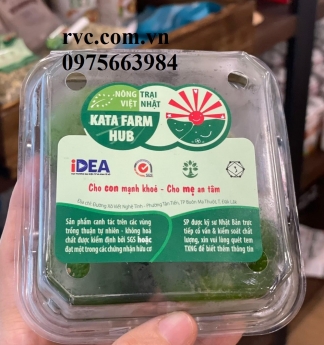 Hộp nhựa đựng hoa quả trong siêu thị