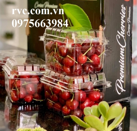 Hộp nhựa đựng hoa quả trong siêu thị