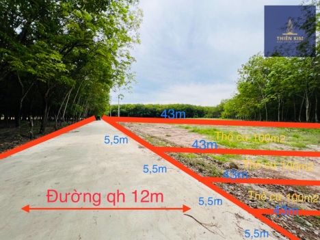 Khách không vay được ngân hàng cần ra gấp lô đất gần đường DT 756C, gần Tân Khai - Bình Phước