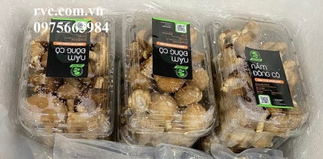 Hộp nhựa đựng hoa quả trong siêu thị