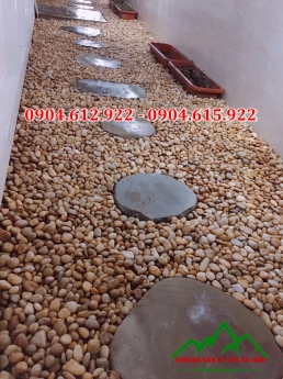 Sỏi tự nhiên trang trí sân vườn, rải lối đi sân vườn