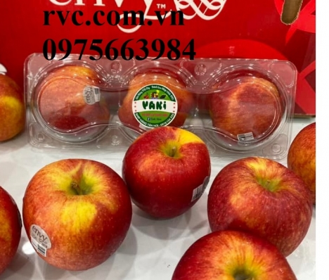 Nhà phân phối hộp nhựa đựng 3 trái táo dùng 1 lần