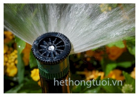 Vòi phun SS530 hunter mỹ, vòi phun hình chứ nhật hunter mỹ, vòi phun LCS hunter mỹ