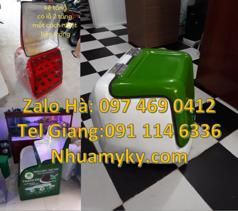 thùng vận chuyển mỹ phẩm, thùng tiếp thị Túi giao hàng, Thùng giao pizza, mua thùng giao hàng, th