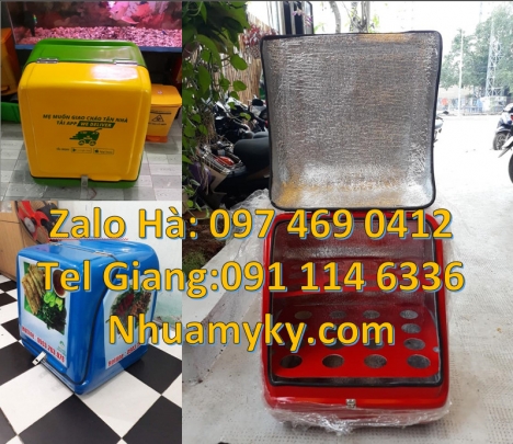 thùng vận chuyển mỹ phẩm, thùng tiếp thị Túi giao hàng, Thùng giao pizza, mua thùng giao hàng, th