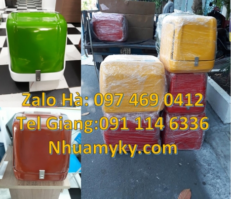 thùng vận chuyển mỹ phẩm, thùng tiếp thị Túi giao hàng, Thùng giao pizza, mua thùng giao hàng, th
