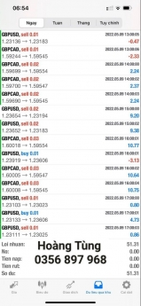 Robo Tự Động Giao dịch Forex BTGROUP, lợi nhuận 15-20% 1 tháng