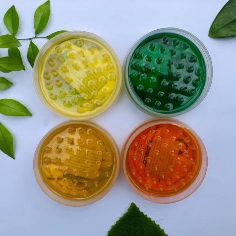 Geltech kiểm soát mùi hôi xe ô tô