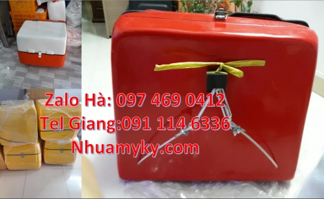 thùng chở bánh bao, Thùng vận chuyển, thùng chở bưu phẩm, thùng chở hải sản Thùng giao đồ ăn, Thùng