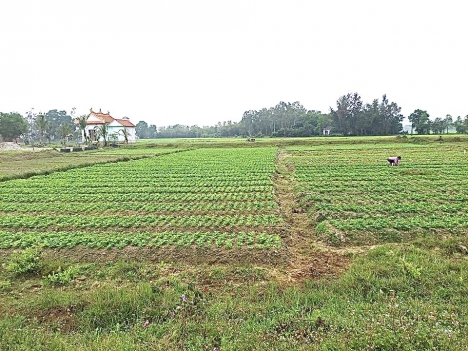 KQH Vinh Giang, Phú Lộc