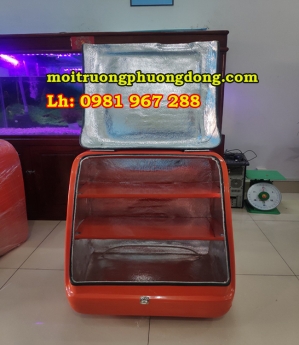 thùng vận chuyển hàng sau xe máy ,thùng giao hàng  cỡ lớn