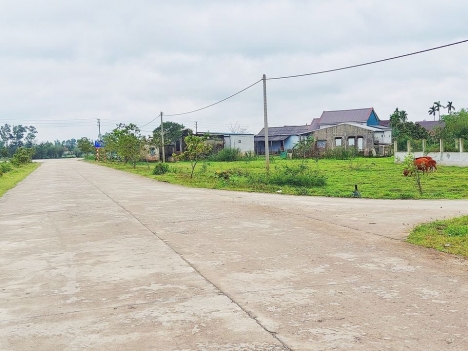 Đất nền Đẹp KQH Cồn Dơi, Quảng Vinh, Quảng Điền
