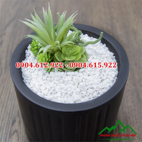 Sỏi trang trí chậu cây, rải chậu cây, chậu hao giá rẻ
