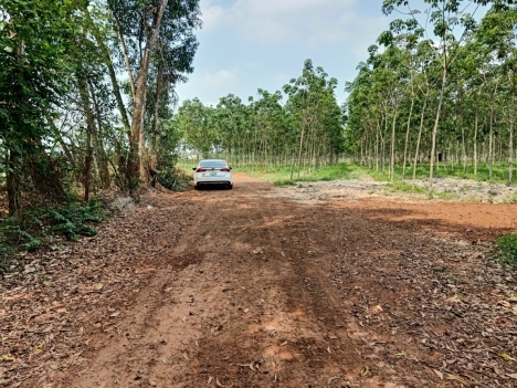 VỀ QUÊ CHĂM SÓC BA MẸ - CẦN BÁN GẤP CÁC LÔ ĐẤT VIEW ĐẸP TẠI BÌNH LONG & LỘC NINH - BÌNH PHƯỚC