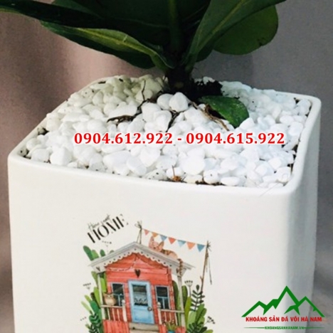 Sỏi trang trí chậu cây, rải chậu cây, chậu hao giá rẻ