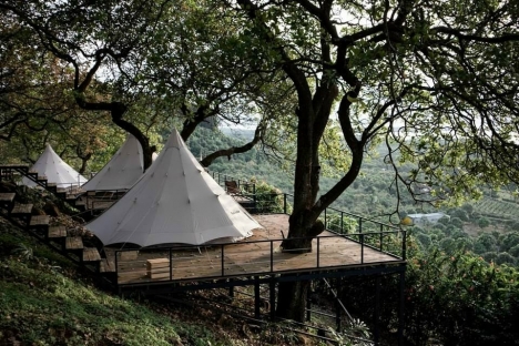 Đất sào nghỉ dưỡng khu dã ngoại suối lũng chuối B'La, Bảo Lâm, Lâm Đồng.