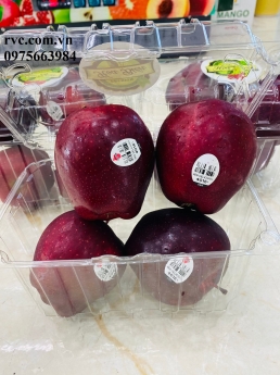 Hộp nhựa đựng táo và những công dụng tuyệt vời
