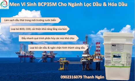 men vi sinh BCP35M xử lý nước thải lọc dầu, hóa dầu