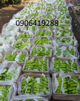 Nhà cung cấp màng xốp pe giá rẻ tại Hóc Môn