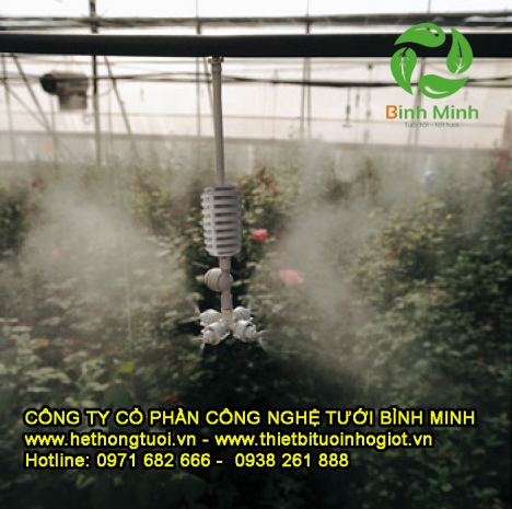 Phun sương coolnet netafim israel,phun sương tưới lan,phun sương israel,phun sương 4 hướng