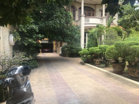 Cho thuê biệt thự sân vườn diện tích siêu lớn gần trường Cao Đẳng Du Lịch hẻm Trương Công Định P.8 T