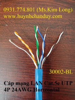 Cáp mạng LAN Cat.5e UTP 4P 24AWG Hosiwell
